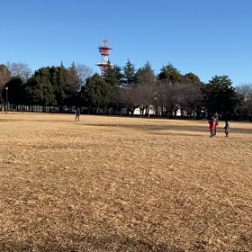 100m記録会(Bグループ)③の画像