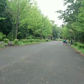 9月21日 100mCグループ(男子選考会)⑥の画像