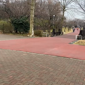 多摩湖駅伝練習 男子ペース走②ゴールの画像