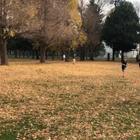 1000m２組目&1500m③の画像