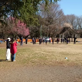 特別練習 Bグループ基本動作⑲の画像