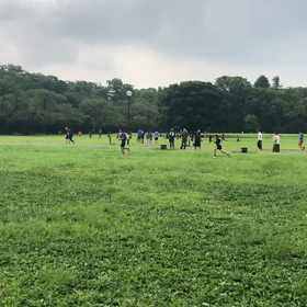 1000m１組目③の画像