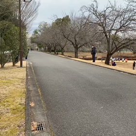 越谷春季記録会男子リレー選考会③の画像