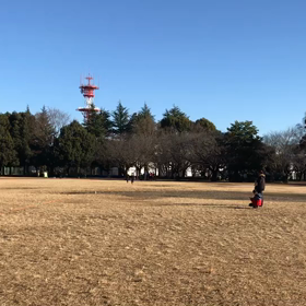100m記録会(Cグループ)①の画像