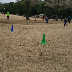 航空公園練習 低学年リレーの画像