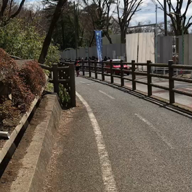 多摩湖最後の上り坂④の画像