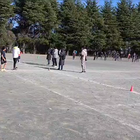 11/25 1000m②の画像