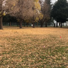 1000m １組目⑤の画像
