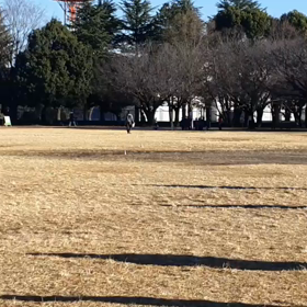 100m記録会(Aグループ)②の画像