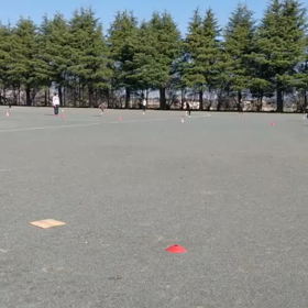 4月2日 10色リレー⑭の画像