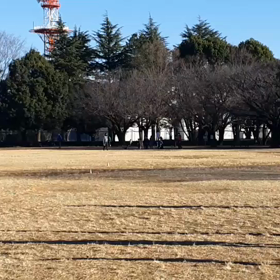 100m記録会(Aグループ)③の画像