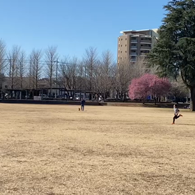 特別練習 B 学年別インターバル⑤の画像