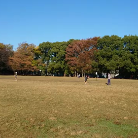 ジャベリック記録会⑤の画像