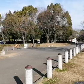 川越練習　1500m④の画像