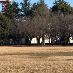 100m記録会(Cグループ)⑥の画像