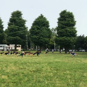 バランス・大股歩行⑩の画像