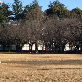 100m記録会(Cグループ)⑤の画像