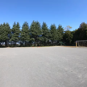 リレー特別練習(バトン渡し)③の画像