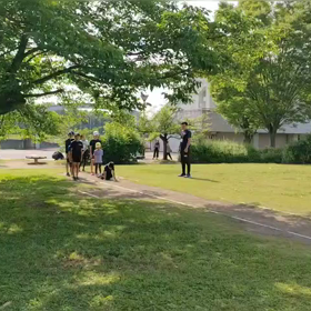 5/27　基本動作⑥の画像