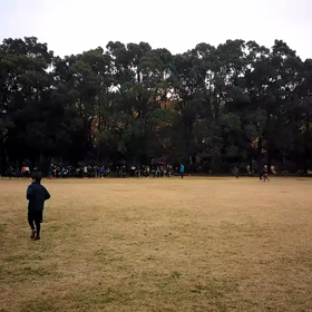 学年別インターバル⑧の画像