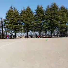 3月4日 1000m⑤の画像