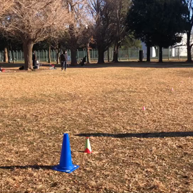 長距離記録会(Gグループ)⑥の画像
