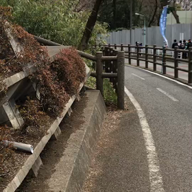 多摩湖最後の上り坂⑩の画像