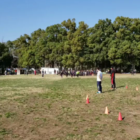学年別インターバル(折り返し付近)⑧の画像