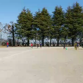 3月4日 1000m④の画像