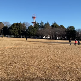 100m記録会(Bグループ)①の画像