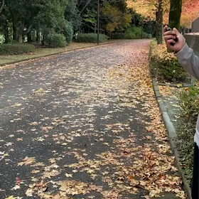 11月5日  1000m③の画像