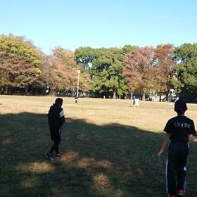 ジャベリック記録会⑨の画像