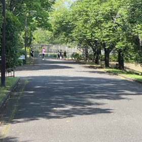 5/27 リレー選考会③の画像