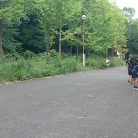 クラブ交流 男子リレー選考会③の画像