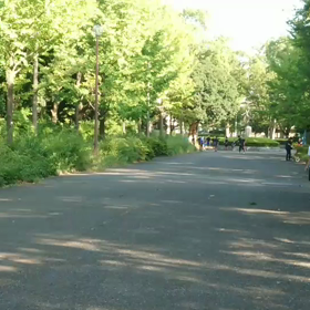クラブ交流 男子リレー選考会動画④の画像