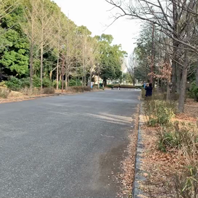 選考会⑫の画像