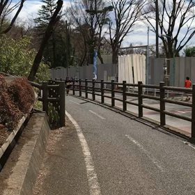 多摩湖最後の上り坂②の画像