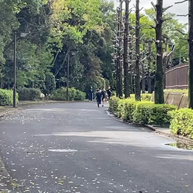 1000mゴール①の画像