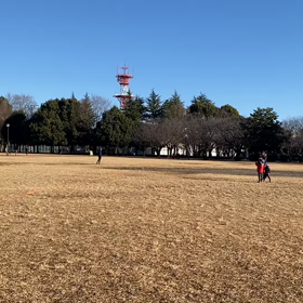 100m記録会(Bグループ)④の画像