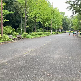 9月21日 100mCグループ(男子選考会)⑧の画像