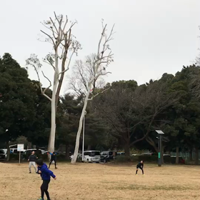 ジャベリック練習① の画像
