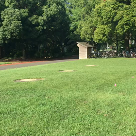 1000m⑭の画像