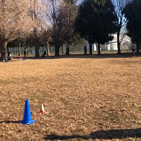 長距離記録会(Gグループ)③の画像