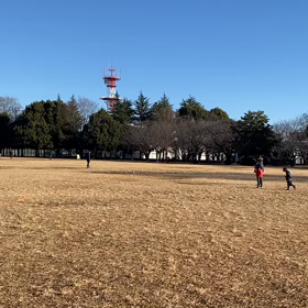 100m記録会(Bグループ)⑤の画像
