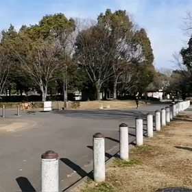 川越練習　1500m②の画像