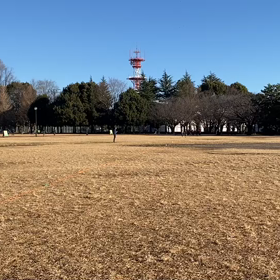 100m記録会(Bグループ)⑥の画像