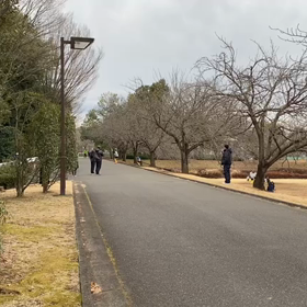 越谷春季記録会男子リレー選考会⑤の画像