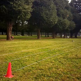 リレー練習(航空公園)⑦の画像