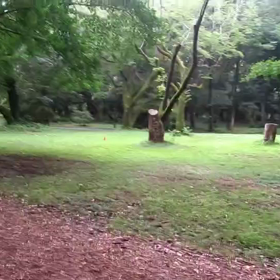 400インターバル中間点③の画像