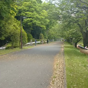 リレー選考会(男子)ゴール付近①の画像